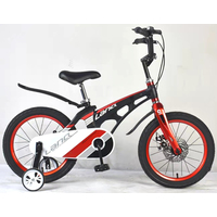 Детский велосипед Lanq Magnesium 16 (черный)