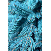 Ель Holiday Trees Аделина Blue 3 м