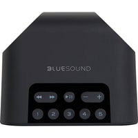Беспроводная аудиосистема Bluesound Flex 2i (черный)