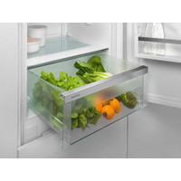 Холодильник Liebherr ICNe 5103 Pure NoFrost