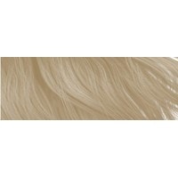 Крем-краска для волос Kaaral 360 Permanent Haircolor .1 (серебряный блондин)