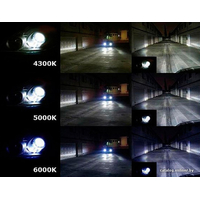 Ксеноновая лампа Blue Light D3S 5000K 2шт