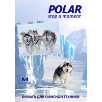Офисная бумага Polar Office Universal A4 80 г/м2, 100 л