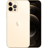 Смартфон Apple iPhone 12 Pro Dual SIM 256GB (золотой)