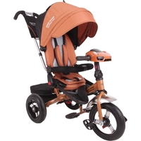 Детский велосипед Baby Trike Premium new (бронзовый)