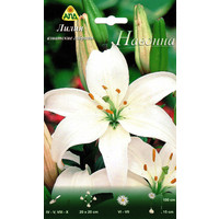 Семена цветов АПД Лилия азиатские гибриды Навонна (2 луковицы)