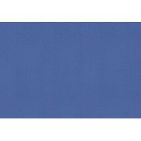 Рулонные шторы Legrand Блэкаут 47x175 (синий)