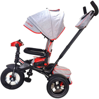 Детский велосипед Lexus Baby Comfort (серый)