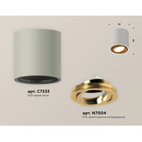 Точечный светильник Ambrella light Techno spot XS7533004 SGR/PYG
