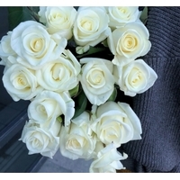 Цветы, букеты Storroz Роза Beluga 50 см (белый)