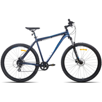 Велосипед Racer Expert 29 2023 (синий)