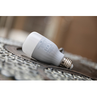 Светодиодная лампочка Xiaomi Mi Smart LED Bulb Essential GPX4021GL