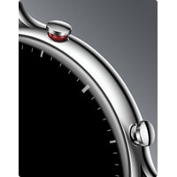 Умные часы Amazfit GTR 2 Classic Edition