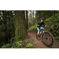 Велосипед Marin Wildcat Trail 5 27.5 L 2021