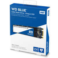 SSD WD Blue 3D NAND 250GB [WDS250G2B0B]