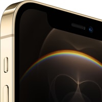 Смартфон Apple iPhone 12 Pro Dual SIM 256GB (золотой)