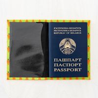 Обложка для паспорта Vokladki Морковки 11018