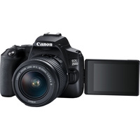 Зеркальный фотоаппарат Canon EOS 250D Kit 18-55 f/3.5-5.6 III + SB310 + SDHC (черный)