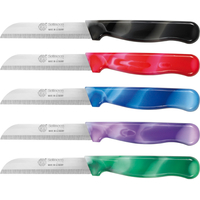 Кухонный нож GGS Solingen 424-05 (фиолетовый)