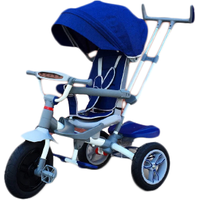Детский велосипед Star Baby 2020 (синий)