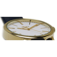 Наручные часы Timex TW2P63400
