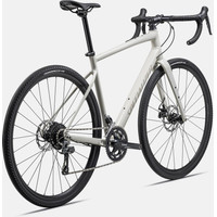 Велосипед Specialized Diverge E5 61см 2023 (Gloss Birch/White Mountains)