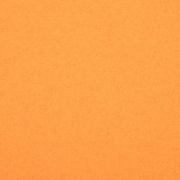 Плед Экономь и Я 7138929 150x180 (оранжевый, 160 г/м2)
