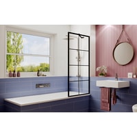 Стеклянная шторка для ванны Ambassador Bath Screens 16041208 70