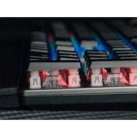 Клавиатура Genesis Thor 401 RGB (нет кириллицы)