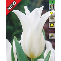 Семена цветов Holland Bulb Market Тюльпан Ballade White (2 шт)