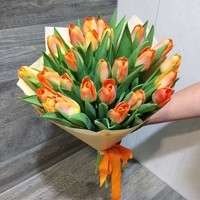 Цветы, букеты Beliana Букет тюльпанов (25 штук)