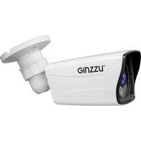 CCTV-камера Ginzzu HAB-2036P