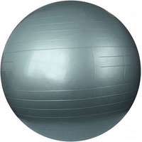 Гимнастический мяч Sundays Fitness IR97402-65 (серебристый)