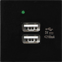 Розетка USB Orno OR-GM-9010/B/USBX2