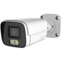 IP-камера Longse LS-IP204/60L-28