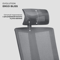 Кресло Evolution ERGO BLISS Black (черный) в Гомеле