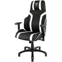 Кресло ThunderX3 TGC20 (черный/белый)