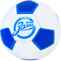 Футбольный мяч Onlitop 1039243 (5 размер)