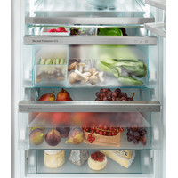 Однокамерный холодильник Liebherr IRBd 5181 Peak