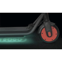 Электросамокат Ninebot eKickScooter ZING C20