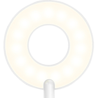 Настольная лампа Yeelight LED Charging Clamping Lamp YLTD10YL