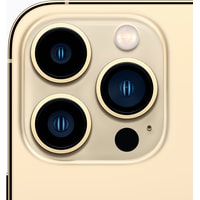 Смартфон Apple iPhone 13 Pro 1TB Восстановленный by Breezy, грейд A+ (золотистый)