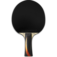 Ракетка для настольного тенниса Gambler X Fast Carbon X3d GRC-17 (коническая)