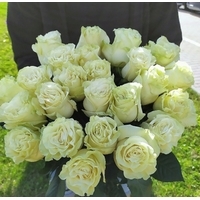 Цветы, букеты Storroz Роза Mondial 60 см (желтый)