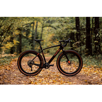 Велосипед Borant Phantom GRX815 Di2 L 2022 (коричневый)