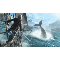  Хиты Playstation Assassin's Creed IV Black Flag для PlayStation 4