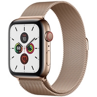 Умные часы Apple Watch Series 5 LTE 44 мм (сталь золотистый/миланский золотой)