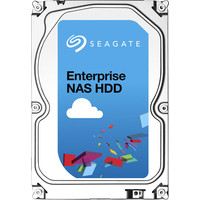 Жесткий диск Seagate Enterprise NAS 2TB (ST2000VN0001)