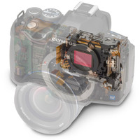 Зеркальный фотоаппарат Olympus E-620 Body