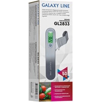 Кухонные весы Galaxy Line GL2833